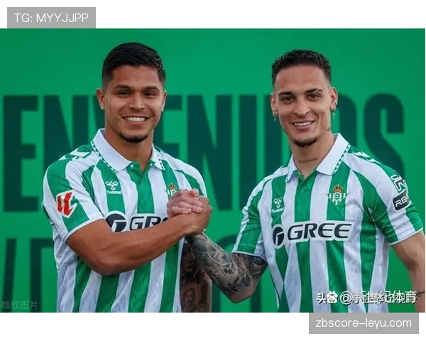 塞尔塔闪耀赛场，精彩表现与高光瞬间引热议