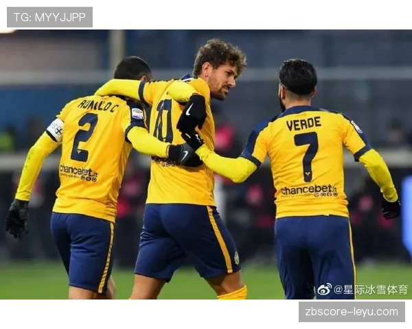 维蒂尼亚攻防能力解析 维蒂尼亚攻防能力解析